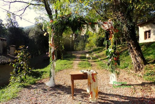 Floristería Kentia: botánica interior y arte en Girona