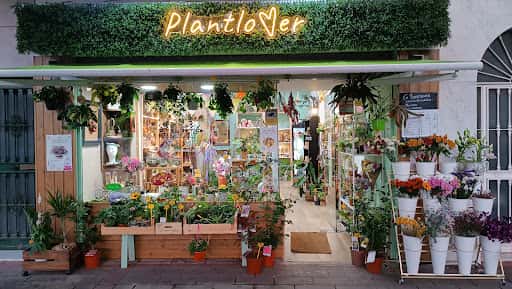 Plantlover: plantas exóticas y terrarios en Ciudad Jardín