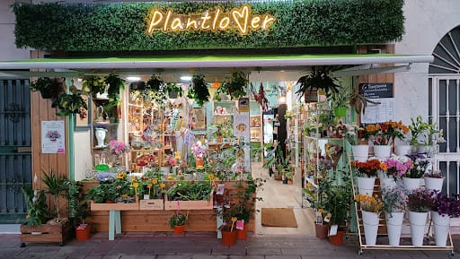 Plantlover: plantas exóticas y terrarios en Ciudad Jardín