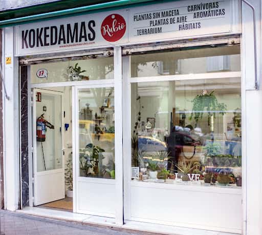 Kokedamas Rubio: plantas sin maceta y terrarios