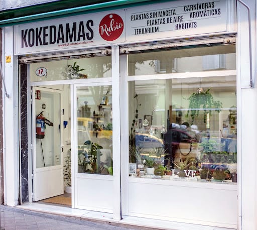 Kokedamas Rubio: plantas sin maceta y terrarios