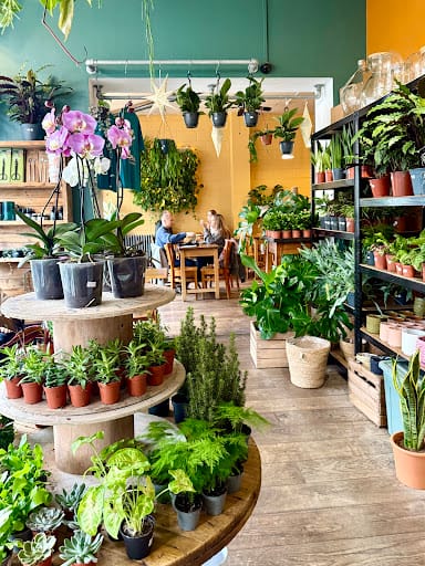 Nook Houseplants: plantas raras y café en Plymouth