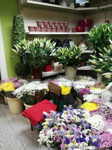 Floristería Los Claveles: plantas exóticas en Pozuelo