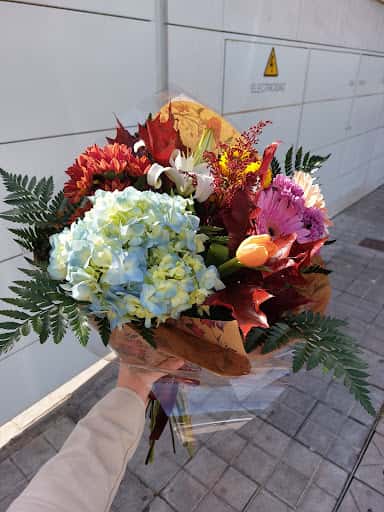 Diseño floral y botánica en El Jardín Romántico