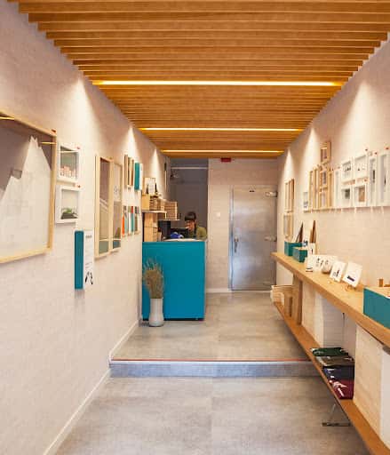 Koloreka: ilustración contemporánea y arte local en Donostia
