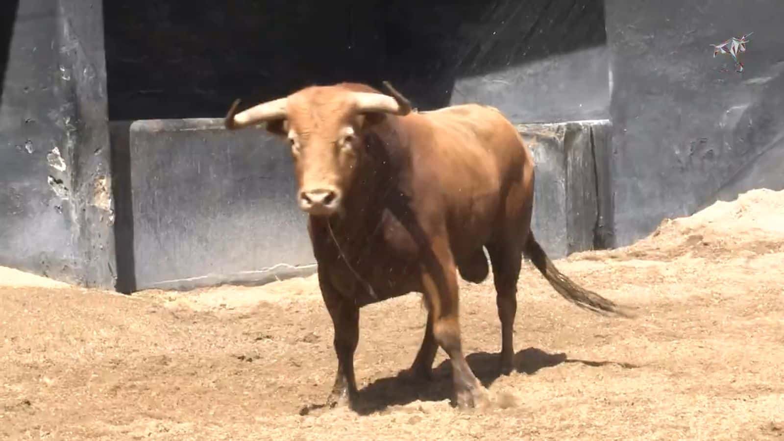 Corrida de toros en la Real Maestranza de Caballería de Sevilla