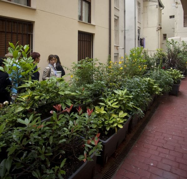 Visita a los caños medievales