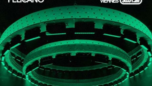 Fiesta Pure PelĂcano