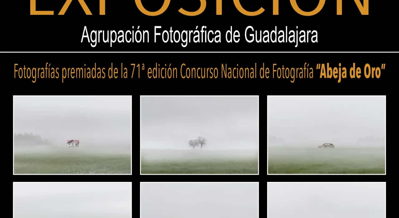 71ª Edición Abeja de Oro