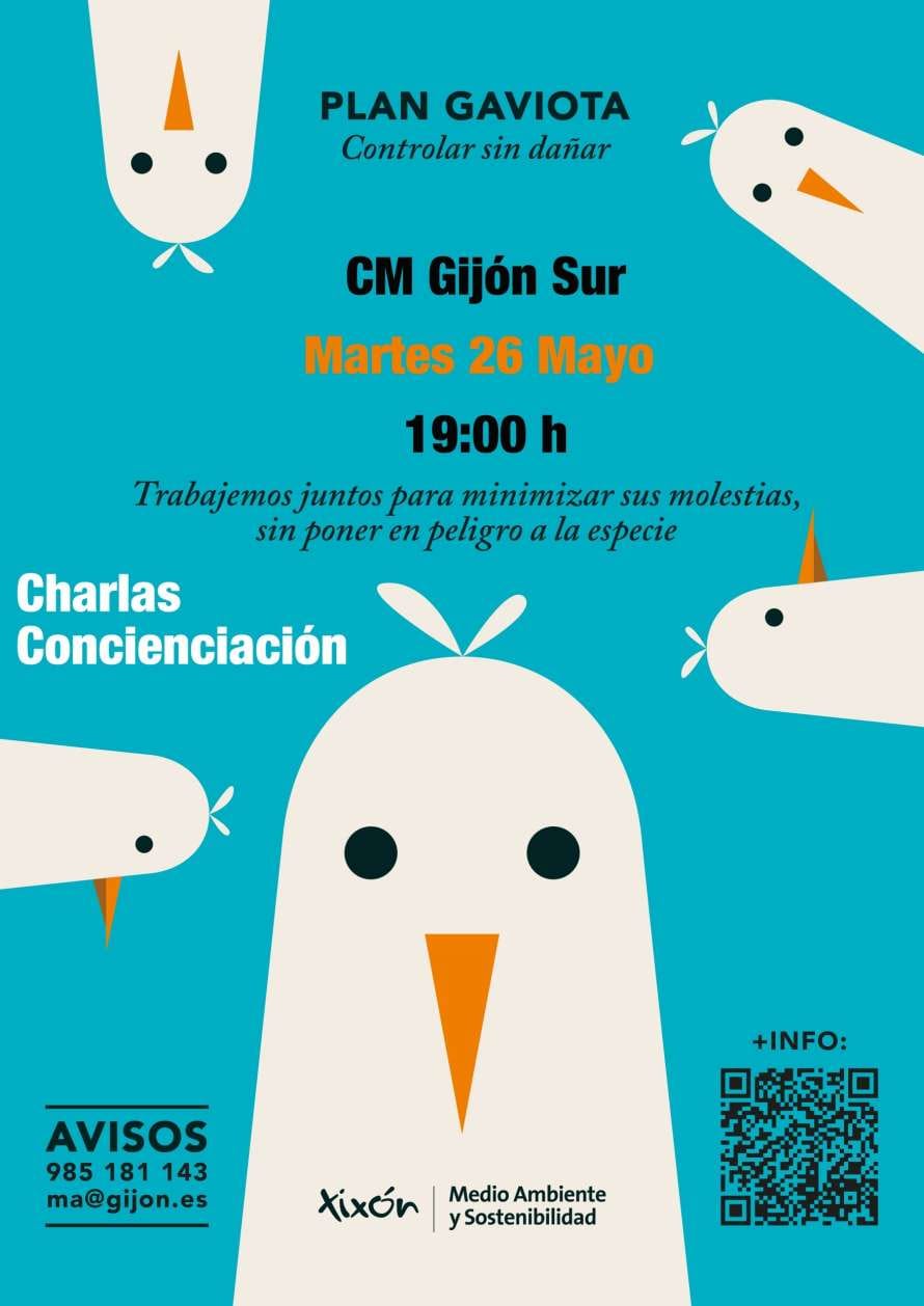驴Qu茅 pasa con las gaviotas en Gij贸n? Conocerlas para convivir