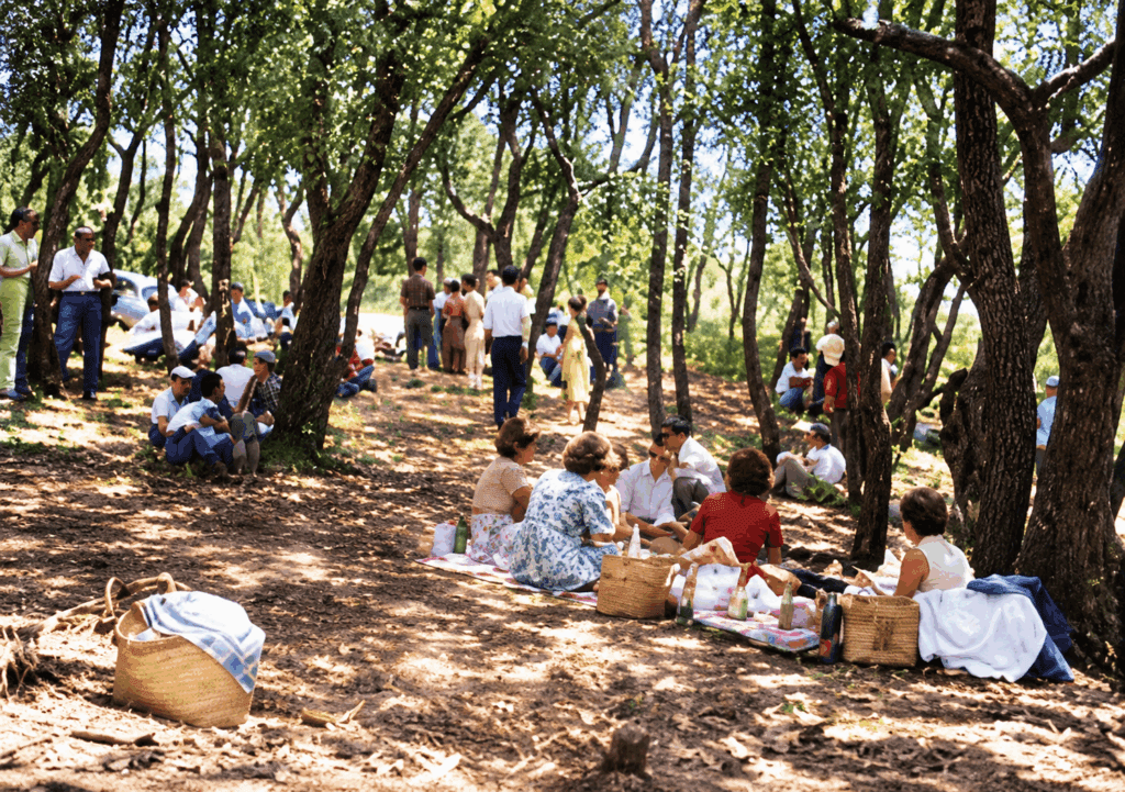 Fiestas de la Cruz del Carmen