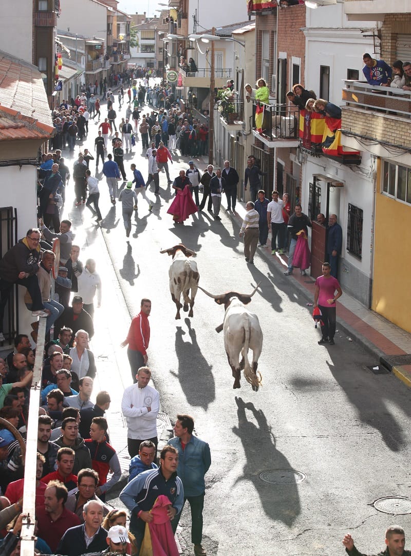 Encierros Taurinos de Fuenlabrada