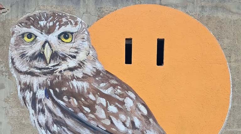 Enciclopèdia Mural: Sven Schmitz