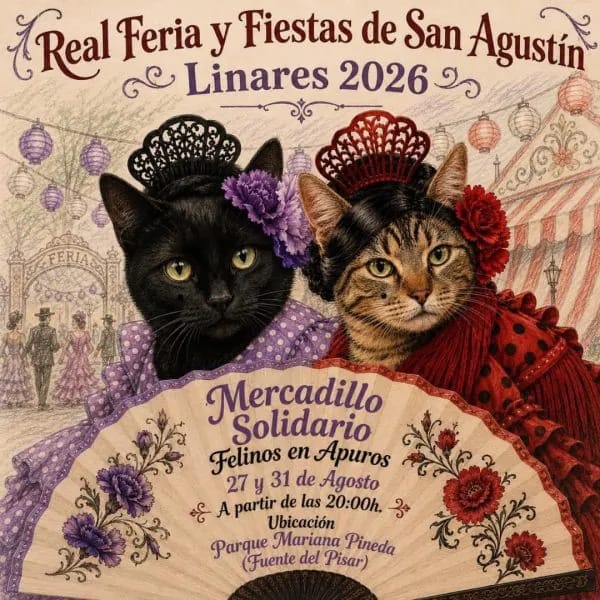 Mercadillo Solidario - Felinos en apuros