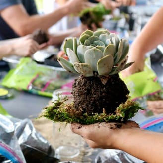 Taller para adultos: Laboratorio de arte de invierno