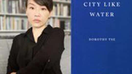 Translated Fiction: Dorothy Tse for City Like Water