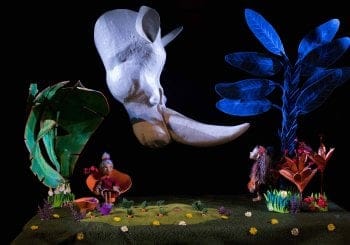 Esperta ó rinoceronte