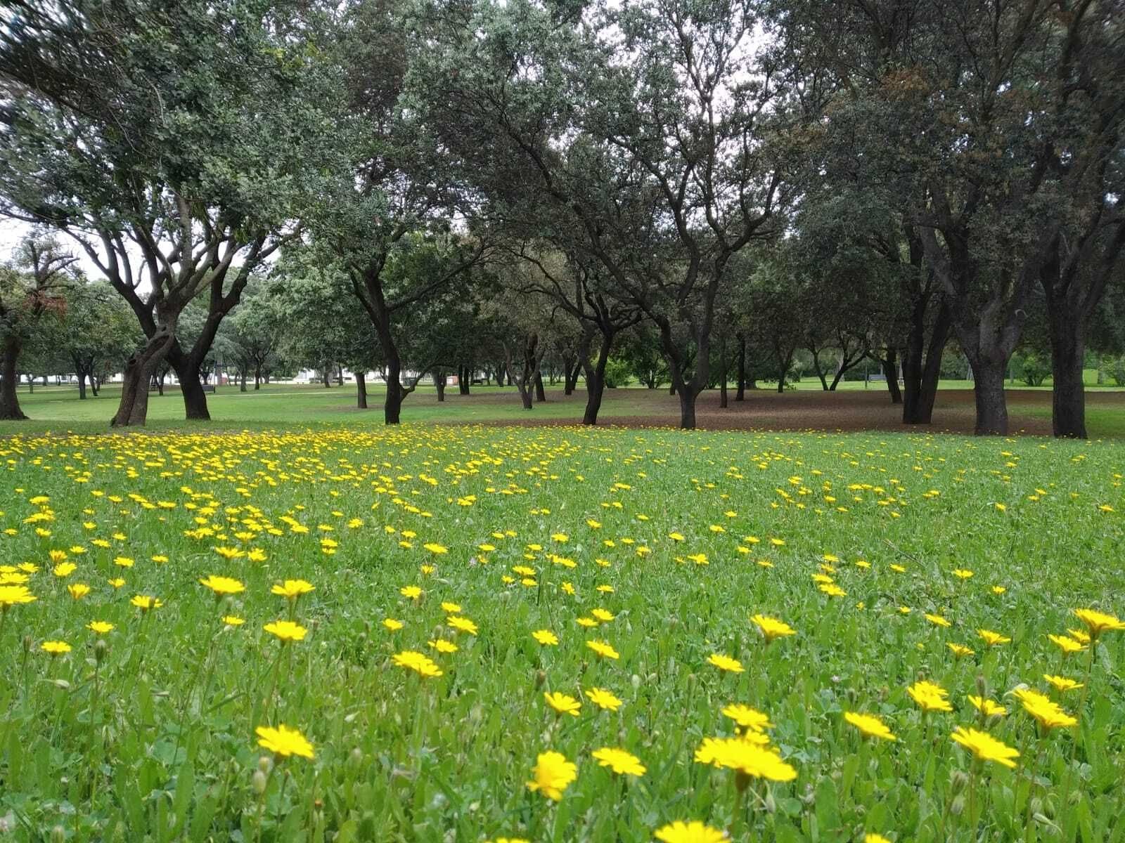 Día Mundial del Medio Ambiente en el Parque del Alamillo
