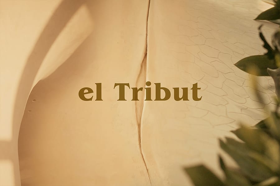 El Tribut. A l'interior de l'obra