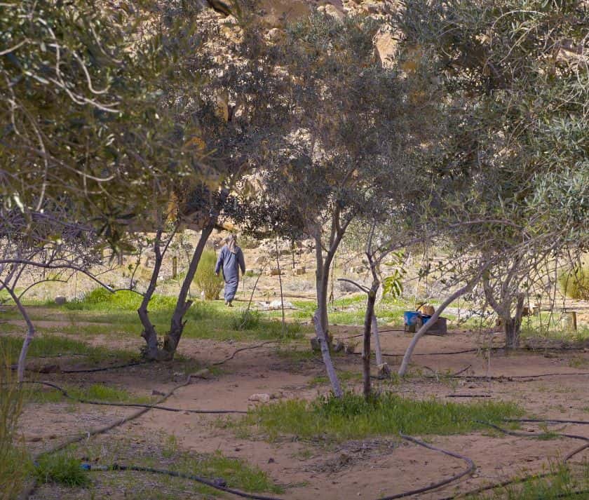 Miércoles culturales «No Rain No Rainbow»