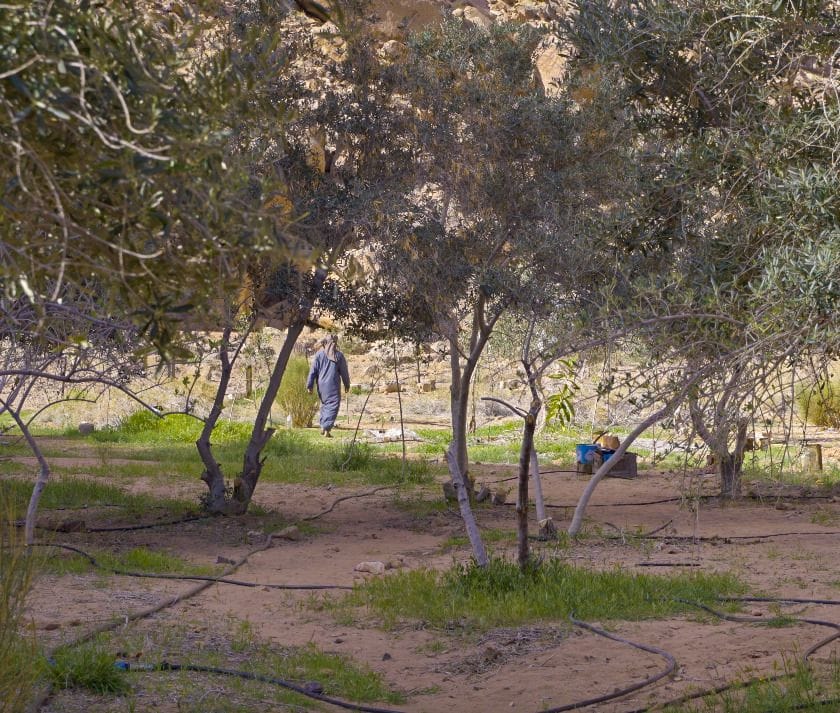 Miércoles culturales «No Rain No Rainbow»