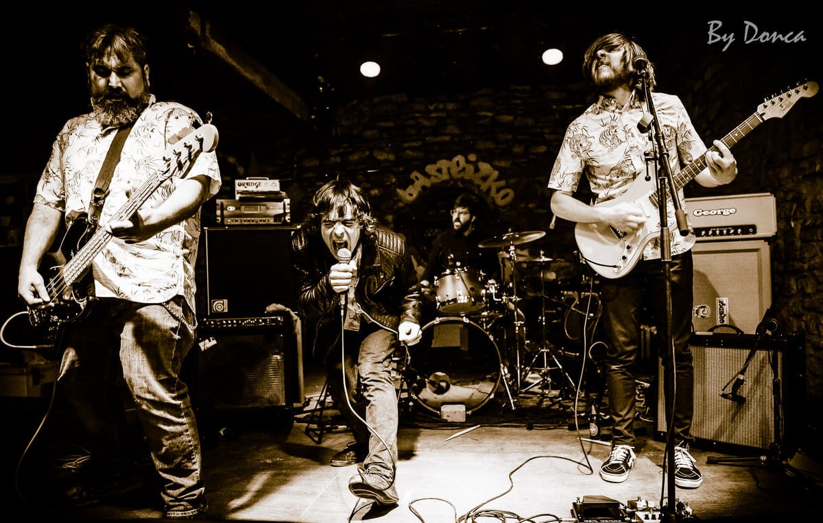 Concierto de Dead Sequoia