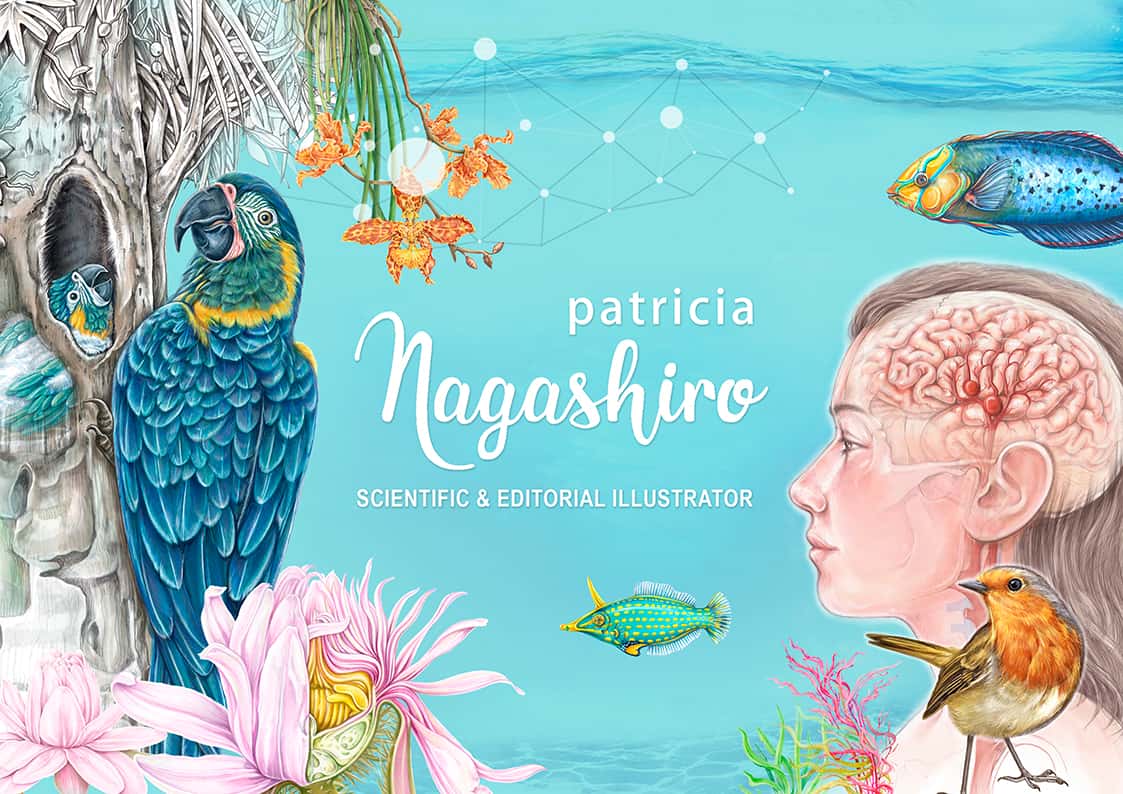 Exposición: Fenología