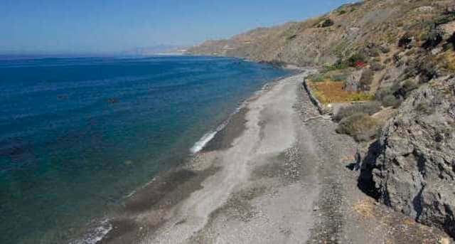 Playas para perros en Almería: dónde ir este verano