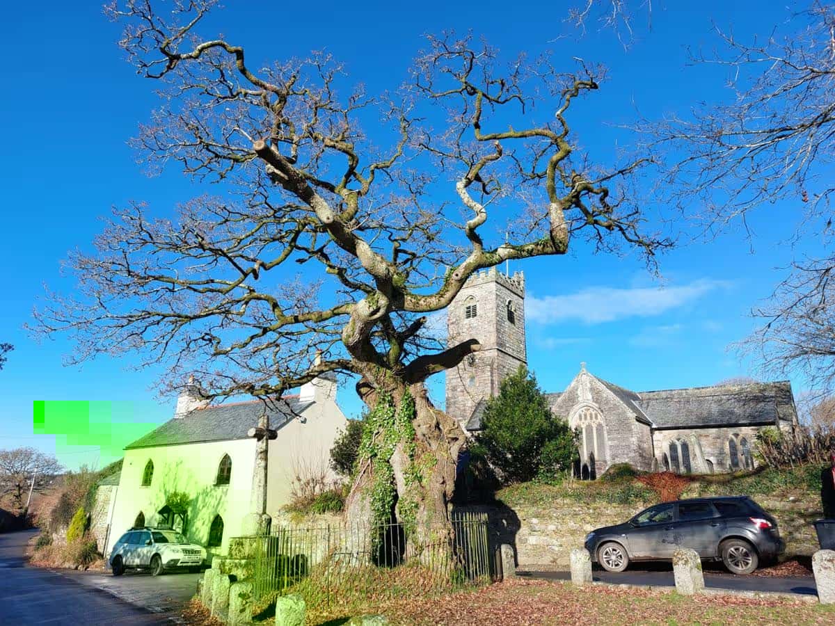 A Day Trip to Meavy: Devon's Fairytale Village