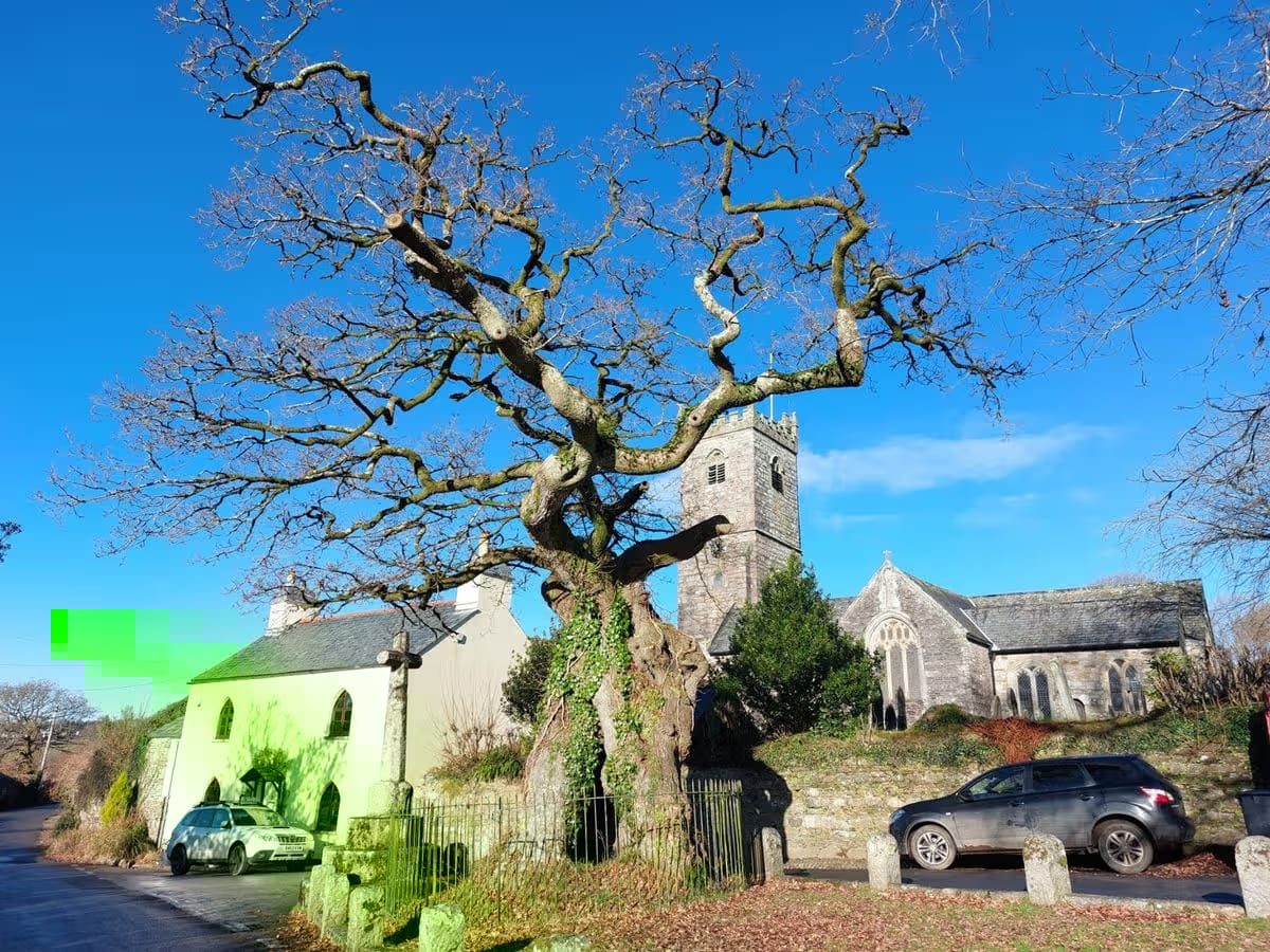 A Day Trip to Meavy: Devon's Fairytale Village