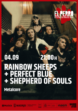 Rainbow Sheeps + Perfect Blue + Shepherd Of Souls