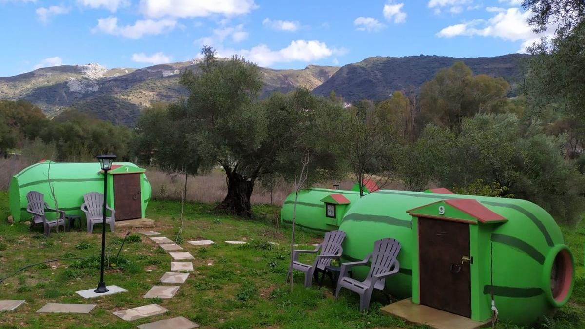 Duerme dentro de una sandía o un pepino en Málaga