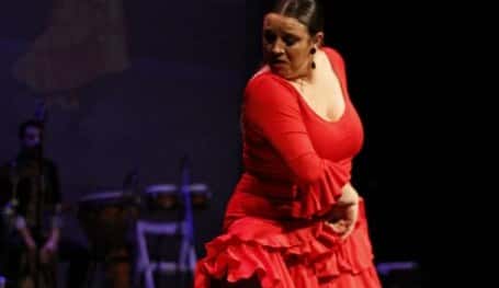 AL SON DEL SUR, 40 AÑOS ACOMPAÑANDO TU VIAJE (Día de Andalucía)