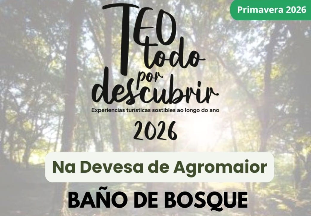 Baños de bosque en Teo: desconexión a un paso de Santiago