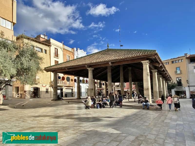 Cicle de Música Catalana: conciertos gratis en agosto
