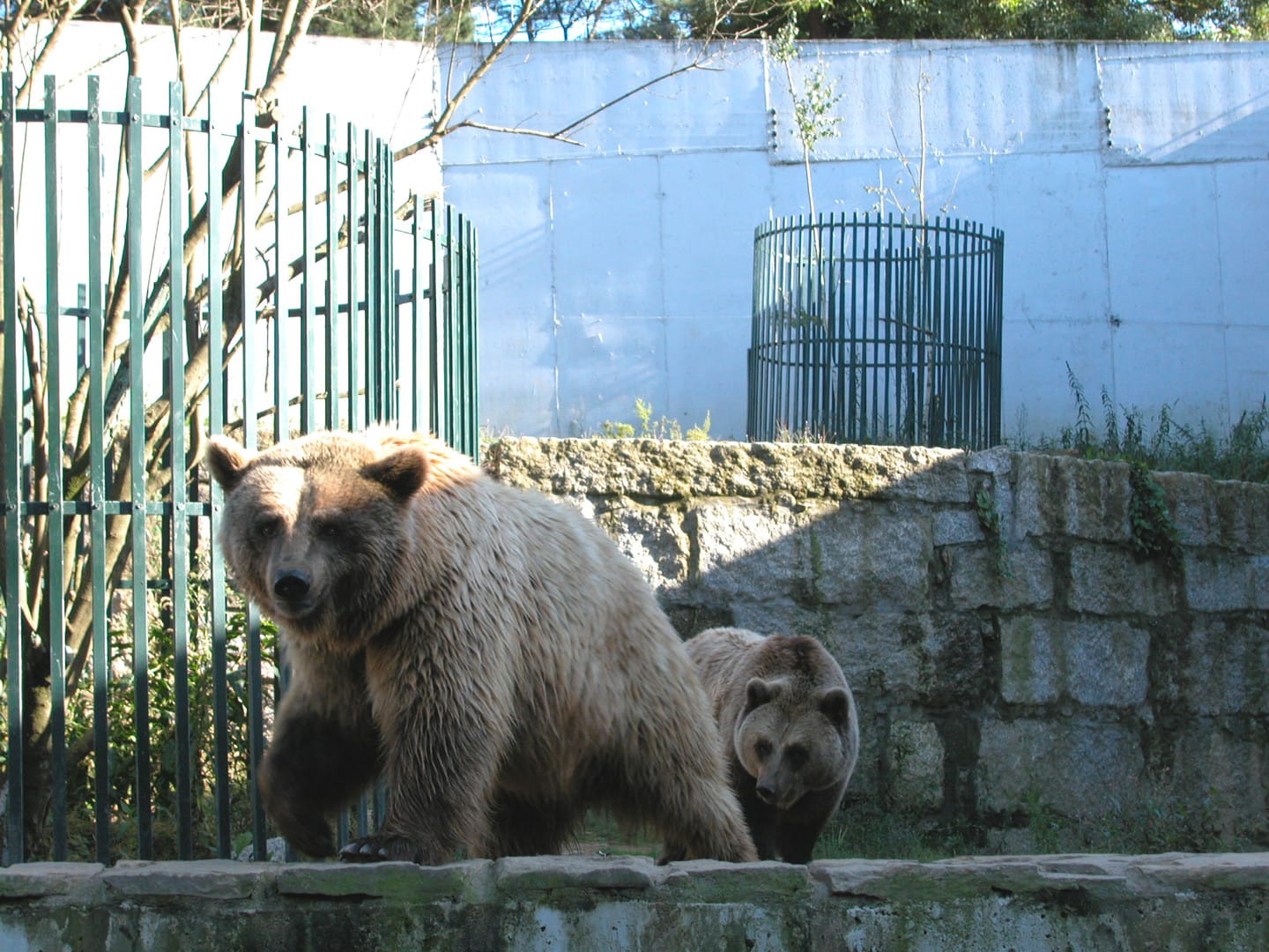 VigoNature: el planetario que ocupa la paridera de osos