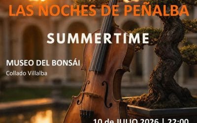 Summertime - Las Noches de Peñalba
