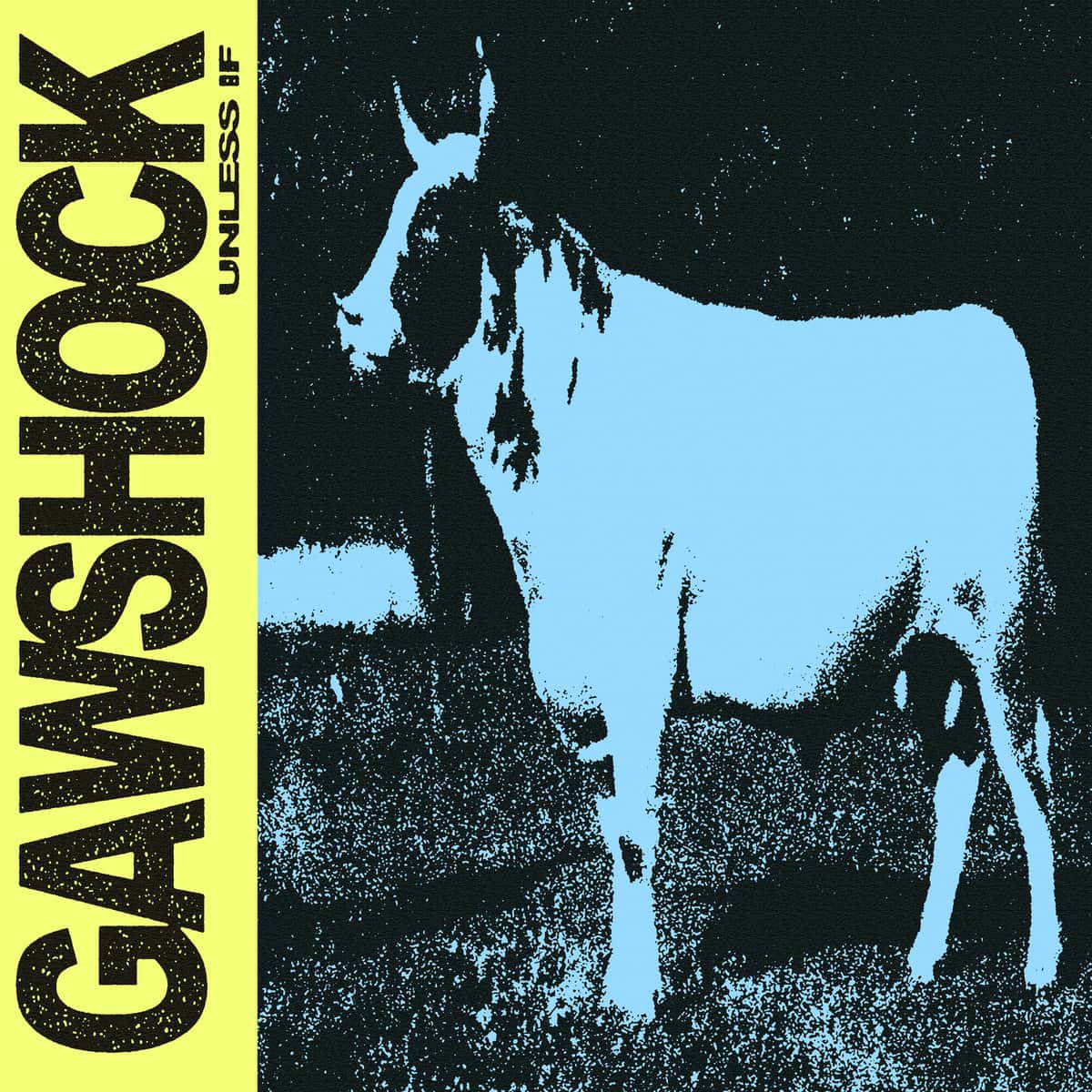 Gawshock w/ Dead Sullivan, Shallowater, Amelia's Best Friend