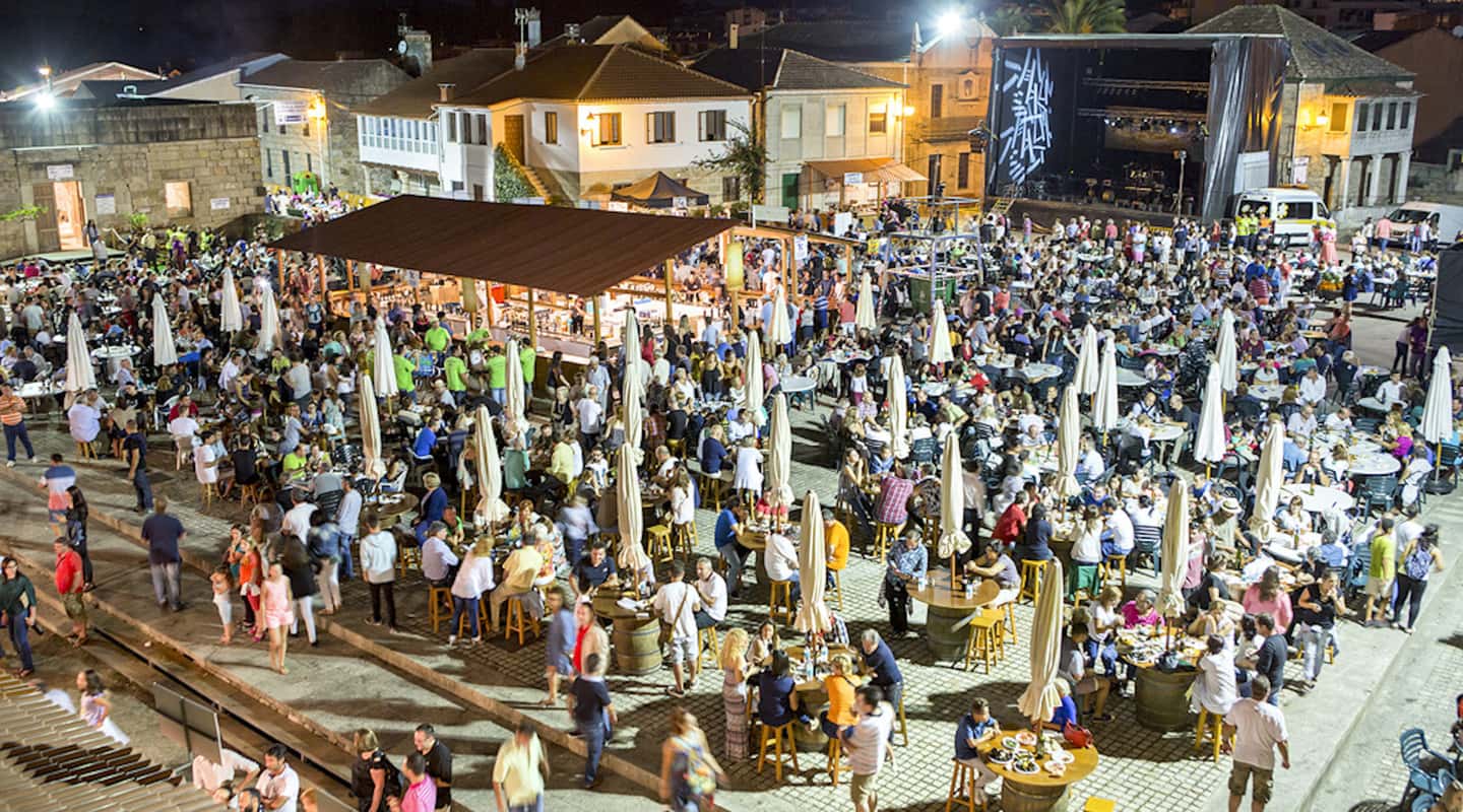 Festa do Viño do Condado do Tea: 29 bodegas y 100 vinos
