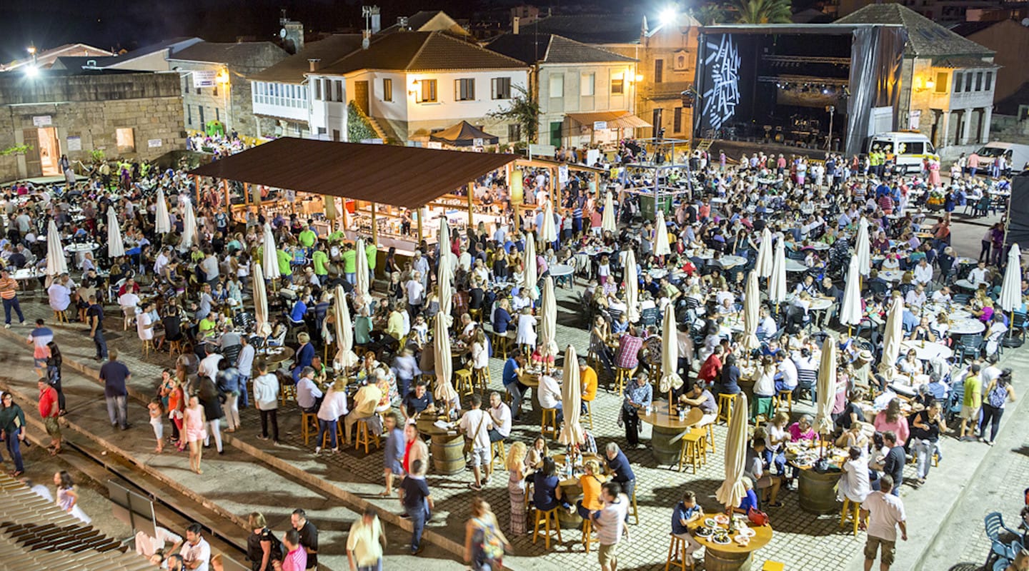 Festa do Viño do Condado do Tea: 29 bodegas y 100 vinos
