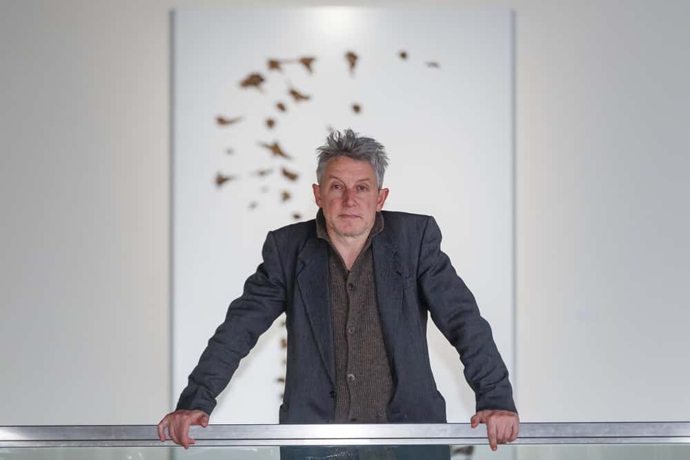Exposición 'El universo alado de Luis Moro'