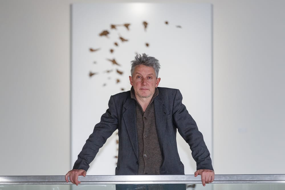 Exposición 'El universo alado de Luis Moro'
