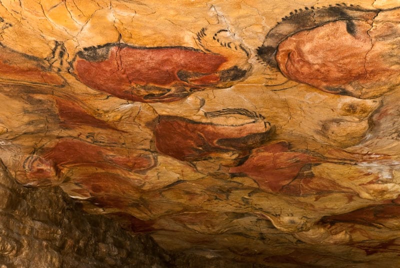 Cómo visitar la Cueva de Altamira y su Neocueva