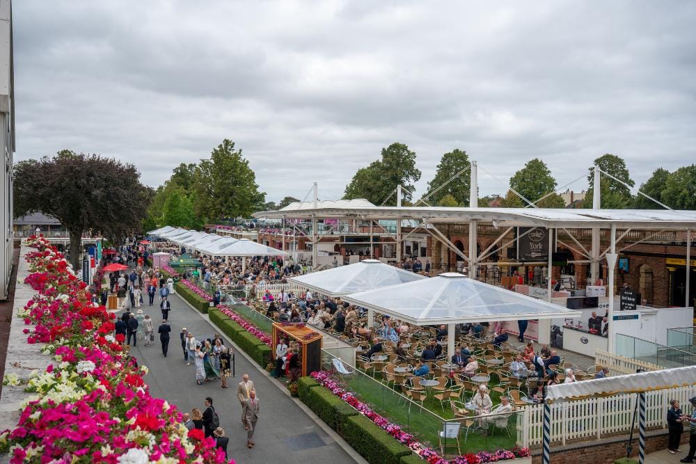 Madness at York Racecourse: tickets on sale tomorrow