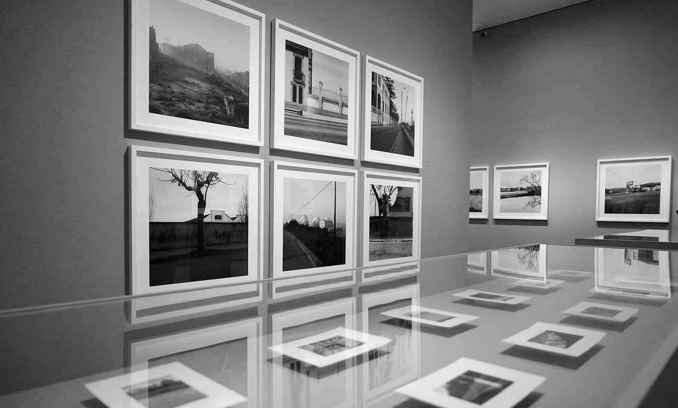 Exposición fotográfica Naturaleza y control
