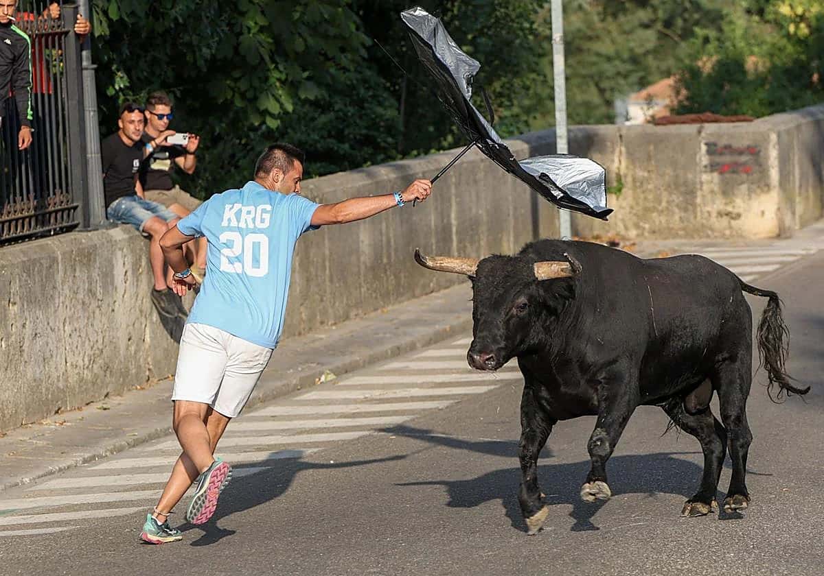 Tudela del Duero: pregón, Toro del Alba y un susto