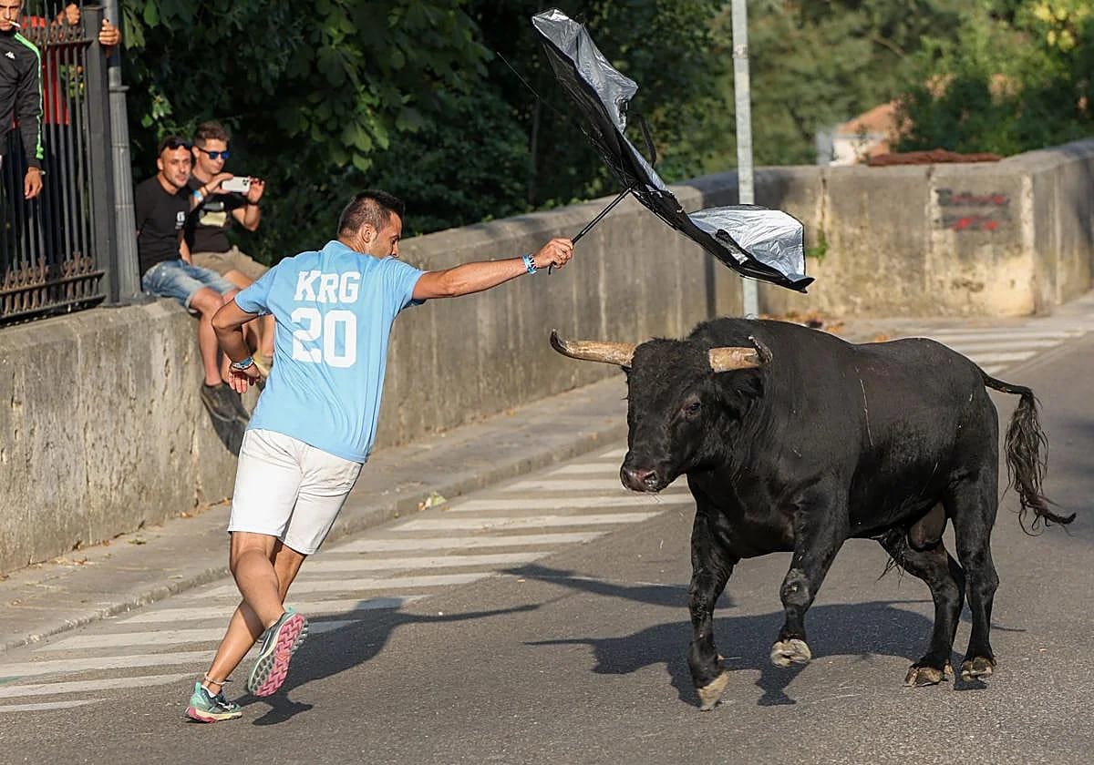 Tudela del Duero: pregón, Toro del Alba y un susto