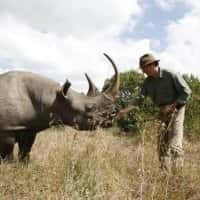 Miña Nai! Maternidades e crías no mundo animal