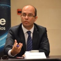La noche inesperada: señales y respuestas en el mundo animal