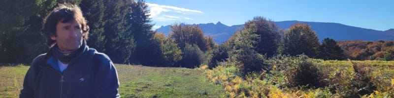 Aves invernantes en Olarizu